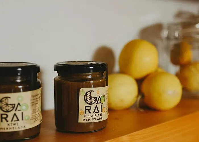 Hotel Garaiko Landetxea 3*