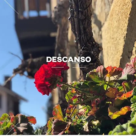 Garaiko Landetxea 3*