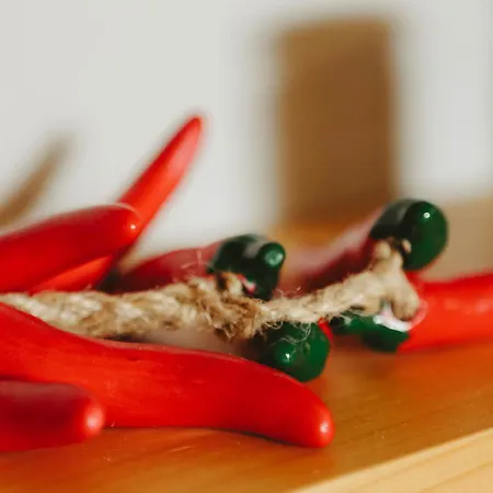 Hotel Garaiko Landetxea 3*