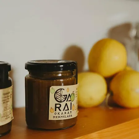 Hotel Garaiko Landetxea 3*